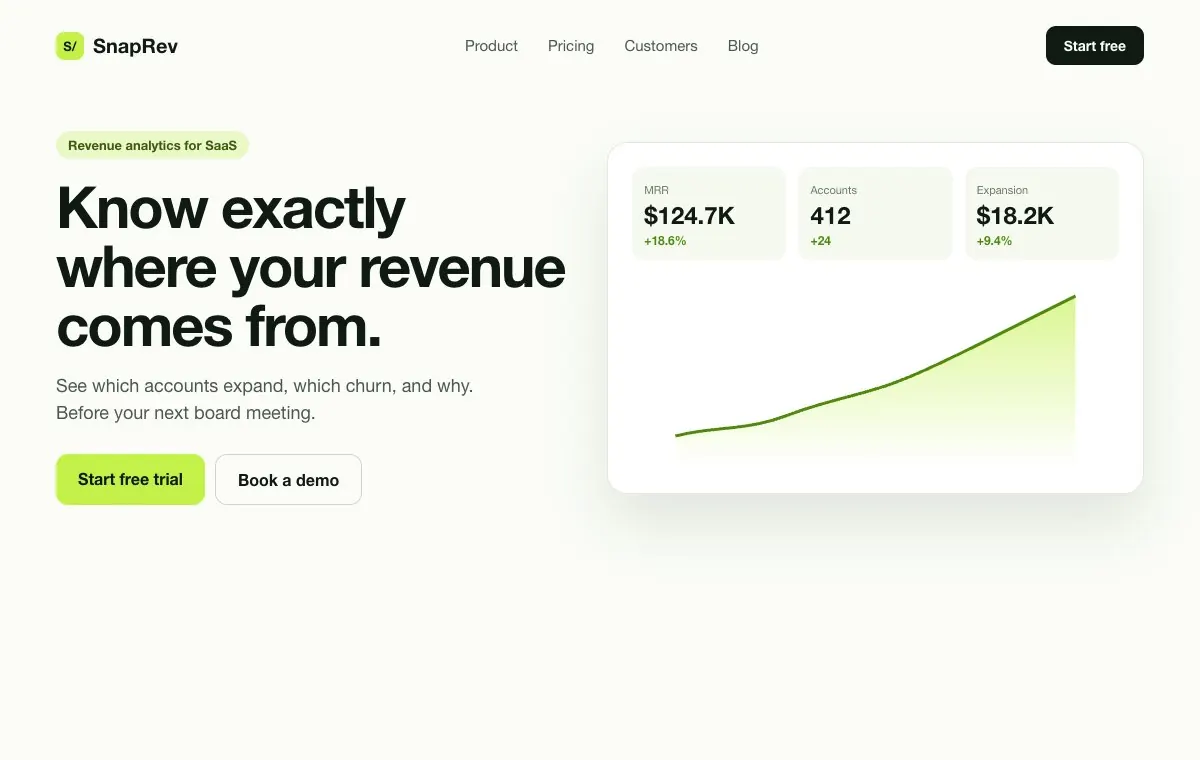 SnapRev revenue dashboard